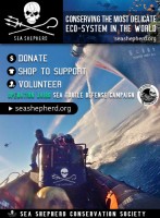 sea-shepherd-second