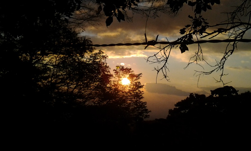 Phone barbwire sunset Phone barbwire sunset