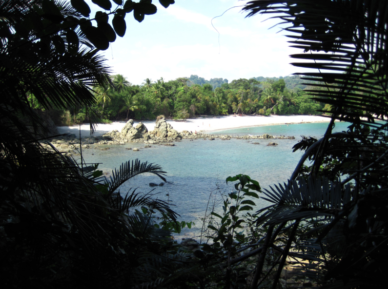 manuel antonio framing