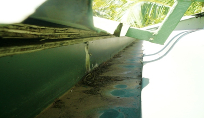 holes and buildup in a roof gutter holes and buildup in a roof gutter
