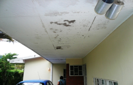 black mold underneath a roof black mold underneath a roof