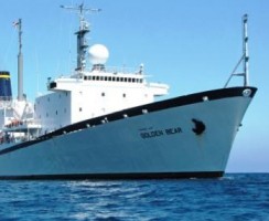 Golden Bear California Maritime Academy