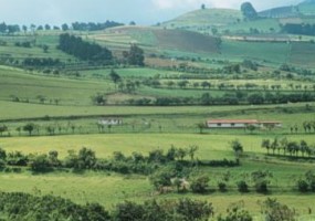 farming and biodiversity in costa rica