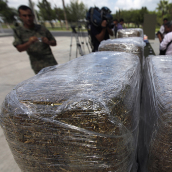 costa rica weed marijuana