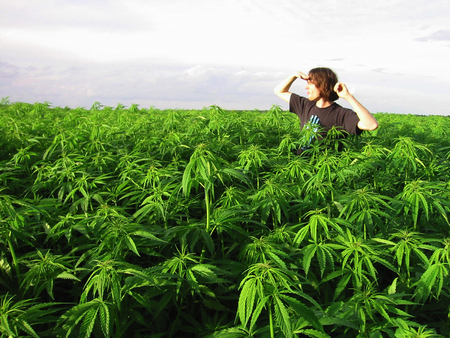 legalizing drugs cocaine marijuana latin america