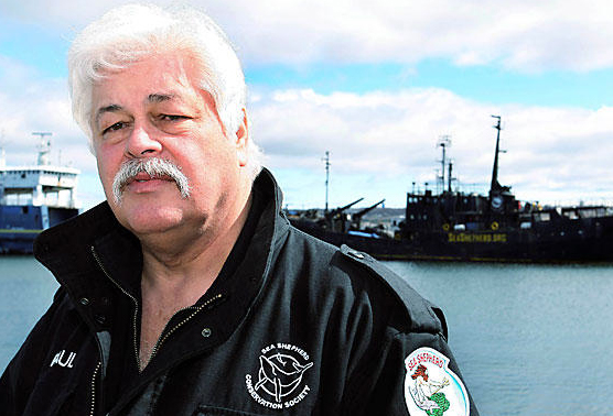 paul watson germany bail speaks