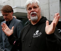 paul watson costa rica