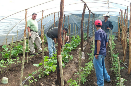 food honduras farms security food honduras farms security
