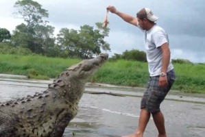 Costa Rica Crocodile tour