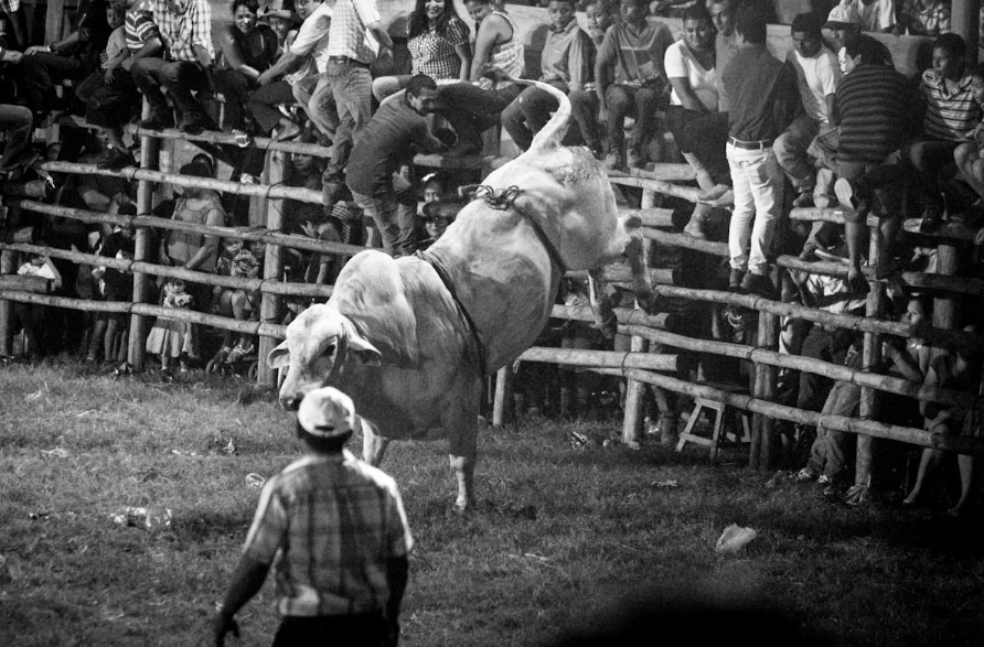 christmas rodeo in costa rica