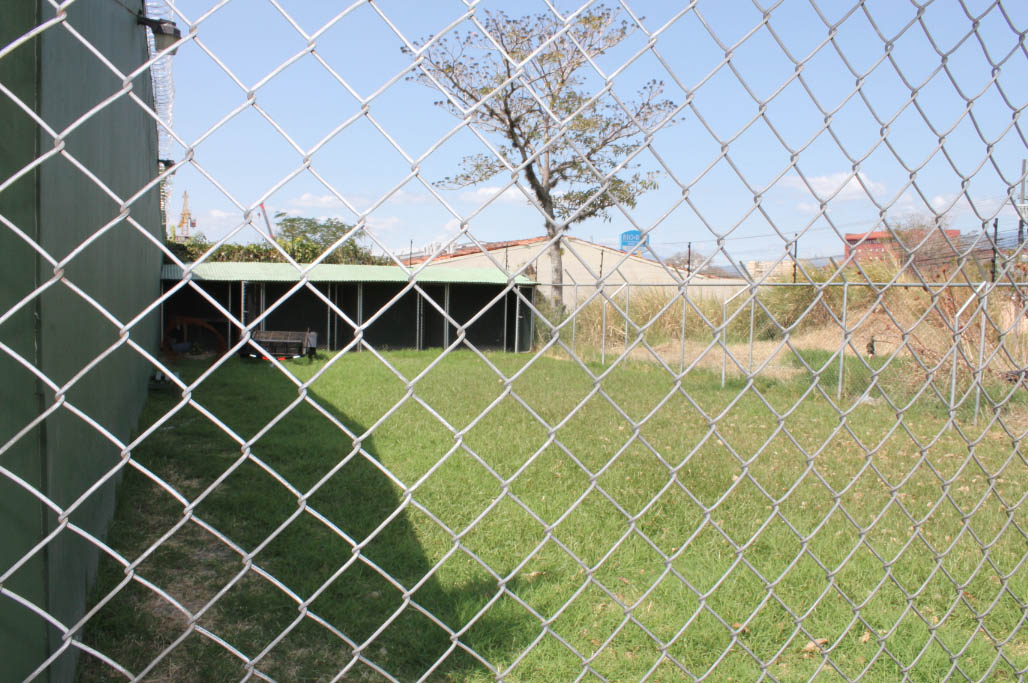 escazu costa rica dog boarding kennel