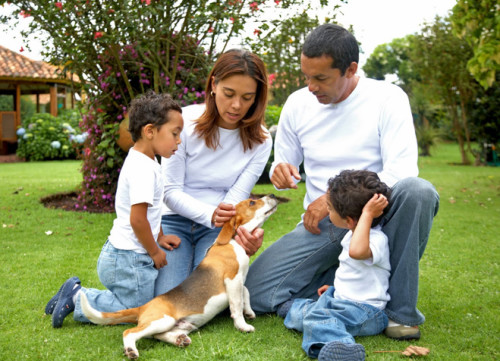 family with dog costa rica