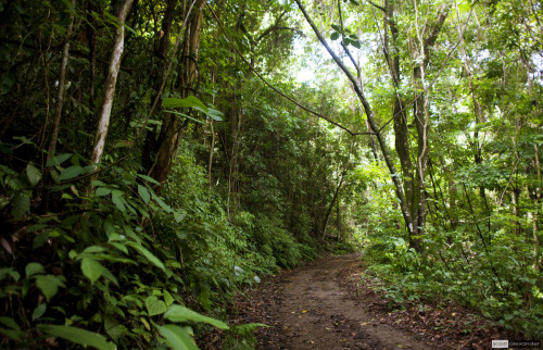 Mountain trail