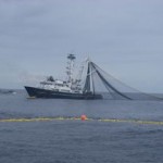 costa rica tuna fishing
