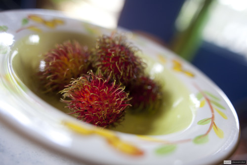 Mamón chino fruit. Delicious. Cost: free from the neighbor.