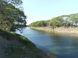 Tempisque River Costa Rica