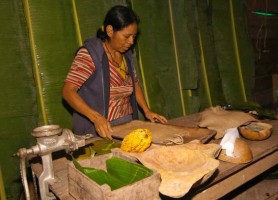 Indigenous Talamanca Costa Rica