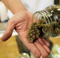 Medical Marijuana Costa Rica