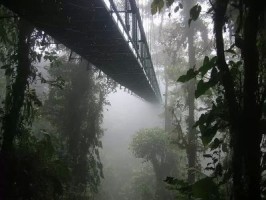 Source: Wikimedia Commons