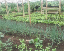 Finca Luna Nueva Lodge Slow Food