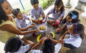 Food Medicine Nicoya Costa Rica