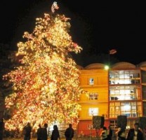 Christmas tree at the Children's Hospital, Costa Rica