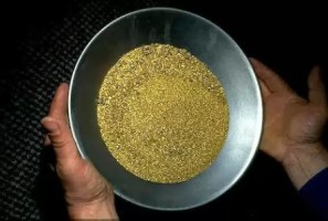 Panning For Gold in Costa Rica