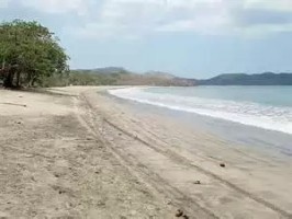 Playa Brasilito