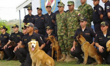 Police dogs in Costa Rica