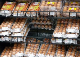 Chicken Eggs in Costa Rica