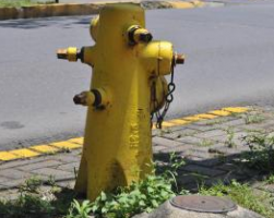 Fire Fighters and Hydrants in Costa RIca