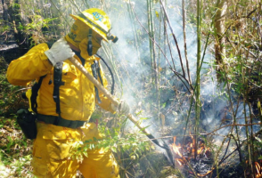 Forest Fires in Costa Rica