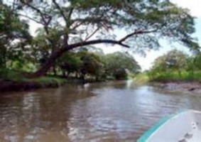 Tempisque River