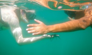 Kayak Jaco guide handing a star fish to a Canadian traveller