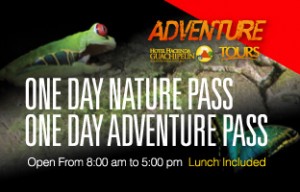 One day pass tour