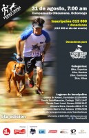 Source: PerroCross.com