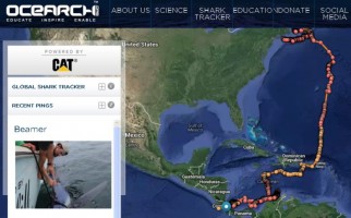 Source: Ocearch