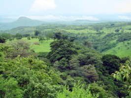 Source: Wikimedia Commons