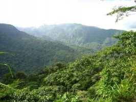 Braulio Carrillo