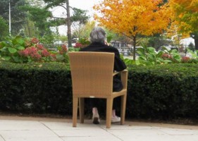 Elder Abuse