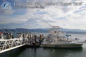 Source: Crocodile Bay