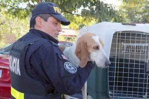 K-9 Officer Lyra