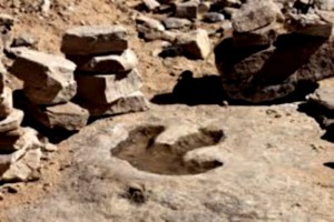 Jurassic footprints. Source: Wikimedia Commons