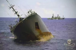 Source: Sea Shepherd