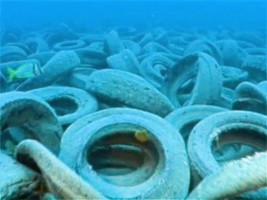 Osborne Reef