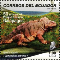 Pink iguana postal stamp from Ecuador. Wikimedia Commons