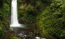 Costa Rica Getaway - Waterfall Gardens