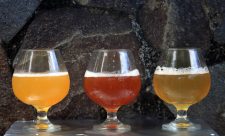 Costa Rica Meadery