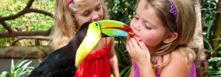 Costa Rica Kids