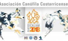 Costa Rica Dog Show